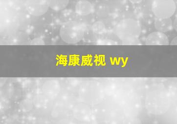 海康威视 wy